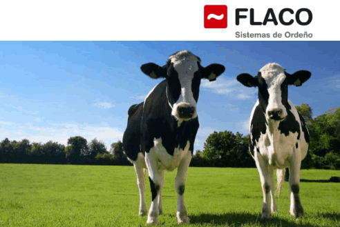 Flaco Instalaciones Ordeño Vacas y Búfalos
