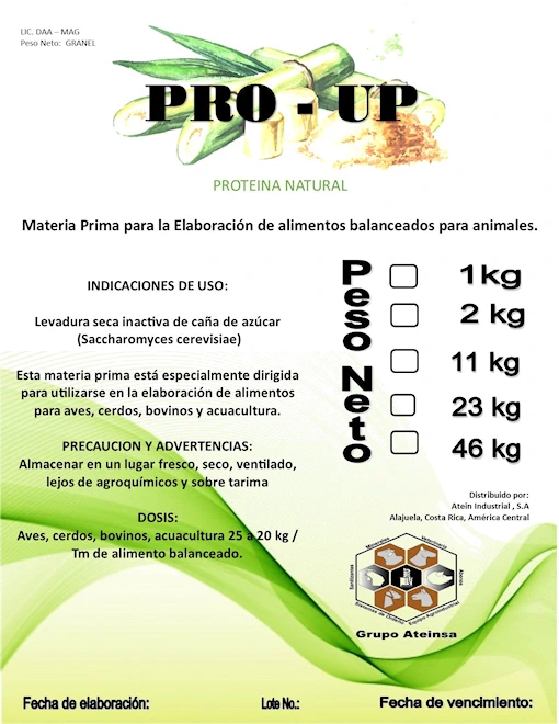 PRO-UP Proteina Natural